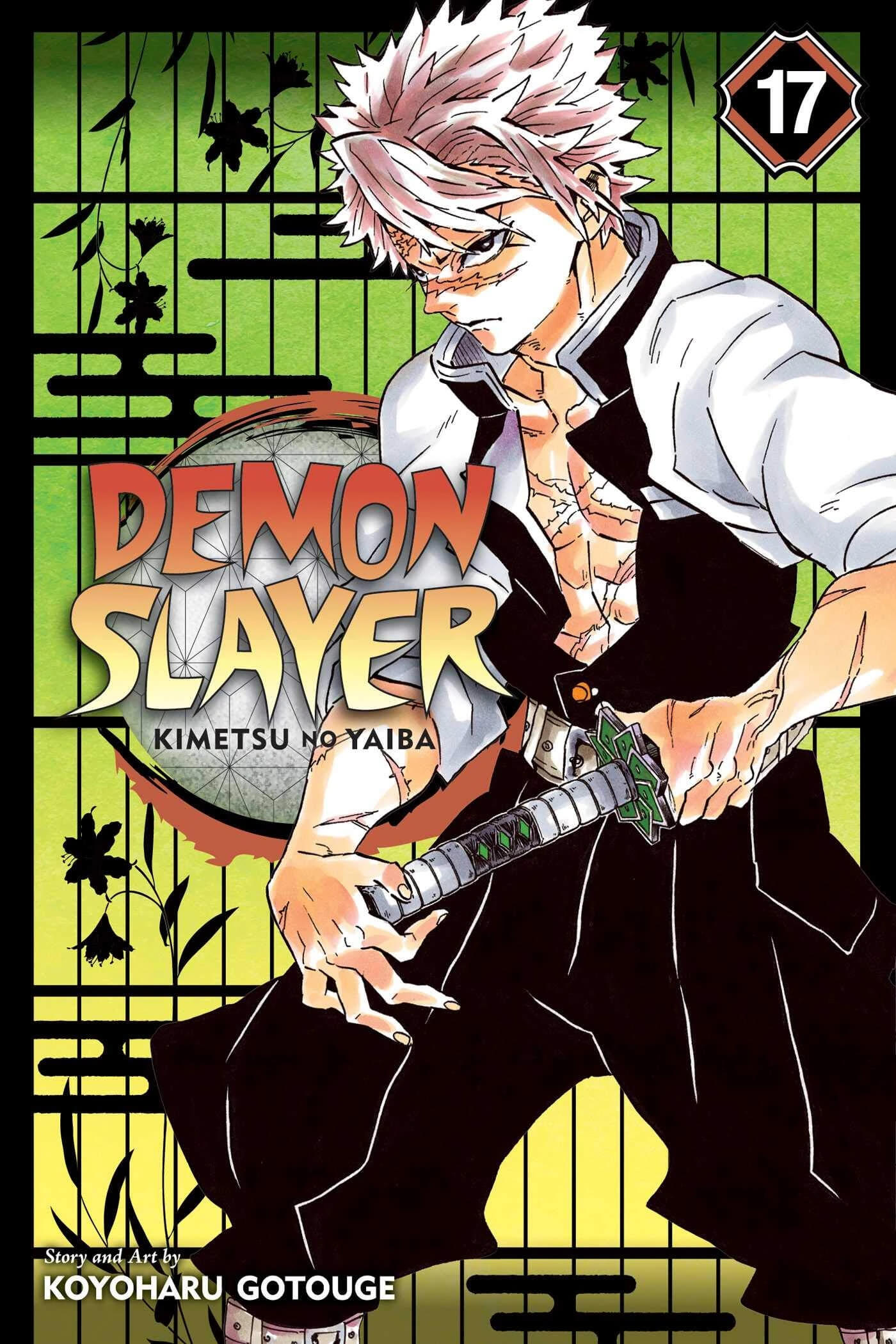 Volume 17 Demon Slayer Kimetsu no Yaiba Version Française