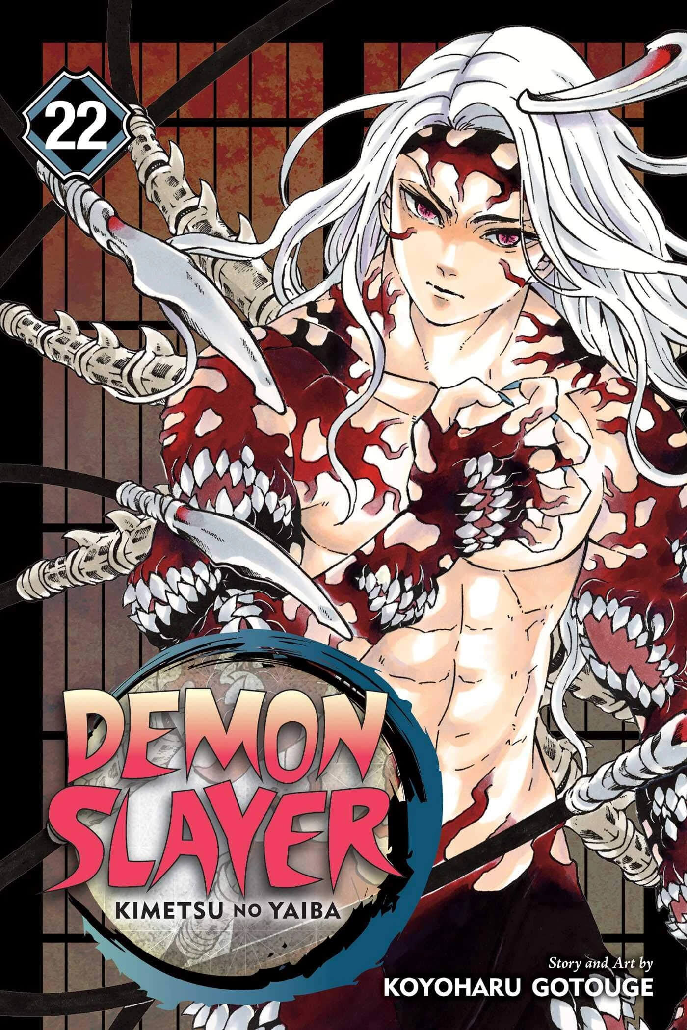 Volume 22 Demon Slayer Kimetsu no Yaiba Version Française